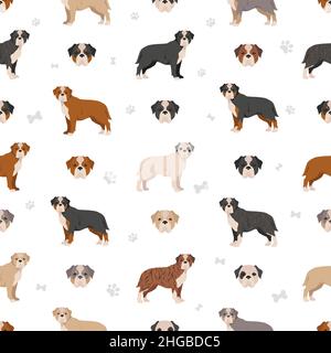 Olde Bulldogge inglese, Leavitt Bulldog modello senza cuciture. Pose diverse, colori del cappotto impostati. Illustrazione vettoriale Illustrazione Vettoriale