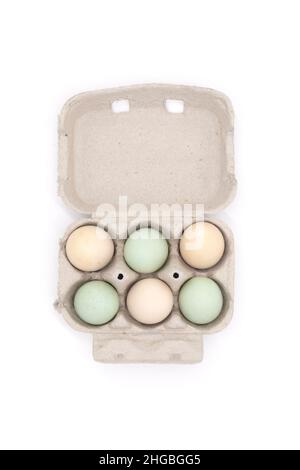scatola di cartone di 6 variopinte uova della fattoria verde blu e marrone di colore isolato su uno sfondo bianco studio Foto Stock
