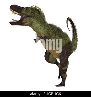 Tarbosaurus Dinosauro piume - Tarbosaurus era un dinosauro carnivoro piume che viveva in Asia durante il periodo cretaceo. Foto Stock