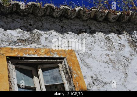 Chippato bianco parete-lungo abbandonato casa-finestra aperta-pianta copertura tetto. Tavira-Portogallo-072 Foto Stock