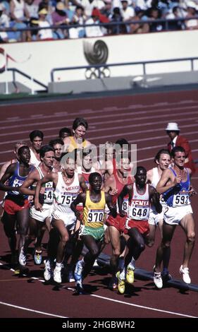 Seul, Corea 1988: Concorso delle Olimpiadi estive nel calore preliminare maschile di 5.000 metri allo Stadio Olimpico. ©Bob Daemmrich Foto Stock