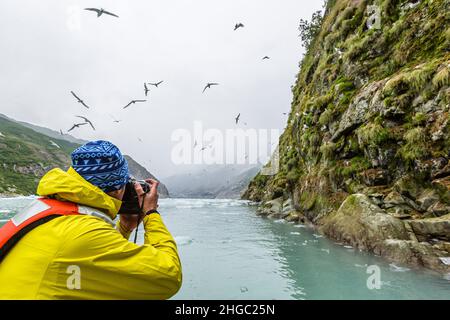 East Arm, Glacier Bay National Park, Southeast Alaska, USA. Foto Stock