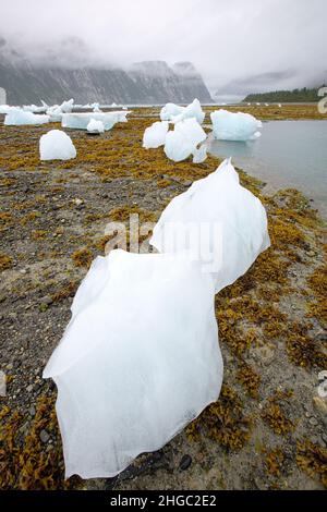 Ghiaccio glaciale bloccato sulla spiaggia a bassa marea nel braccio orientale del Glacier Bay National Park, Southeast Alaska, USA. Foto Stock