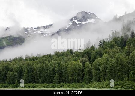 Nebbia e nebbia tra la foresta nel braccio est del Glacier Bay National Park, Alaska sud-orientale, USA. Foto Stock