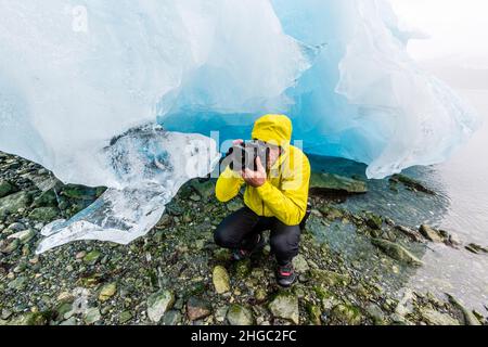 East Arm, Glacier Bay National Park, Southeast Alaska, USA. Copyright 2016 Michael S. Nolan. Tutti i diritti riservati in tutto il mondo. Foto Stock