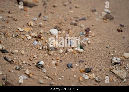 Una miriade di ciottoli trovati su una spiaggia. Punti di messa a fuoco selettivi Foto Stock