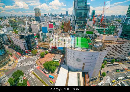 Shibuya attraversa dall'alto l'ora del giorno a Tokyo, Giappone Foto Stock