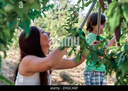 giovane madre con suo figlio in giardino nel mezzo dell'orto piantando e potando alberi. Usando gli attrezzi di giardinaggio, i guanti e le scis Foto Stock