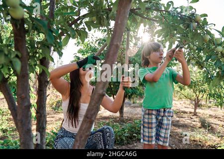 giovane madre con suo figlio in giardino nel mezzo dell'orto piantando e potando alberi. Usando gli attrezzi di giardinaggio, i guanti e le scis Foto Stock