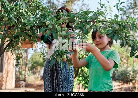 giovane madre con suo figlio in giardino nel mezzo dell'orto piantando e potando alberi. Usando gli attrezzi di giardinaggio, i guanti e le scis Foto Stock