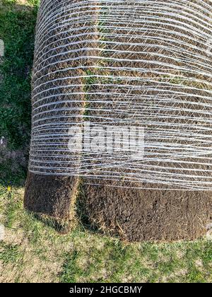 Illustrazione della rete utilizzata per fissare insieme zolle e sporcizia per il trasporto in un nuovo cantiere. Foto Stock