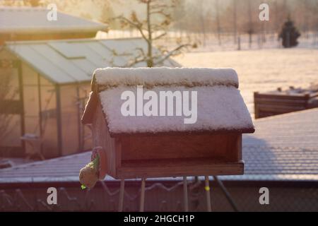 birdhouse coperto di neve al sole della sera dopo una nevicata fresca Foto Stock
