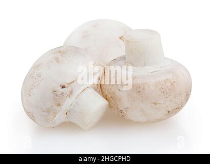 Tre funghi champignon isolati su sfondo bianco con percorso di taglio Foto Stock