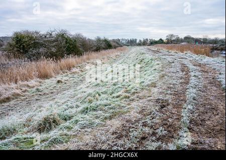 Gelo campo coperto e l'erba in una mattina fredda in inverno in Inghilterra, Regno Unito. Foto Stock