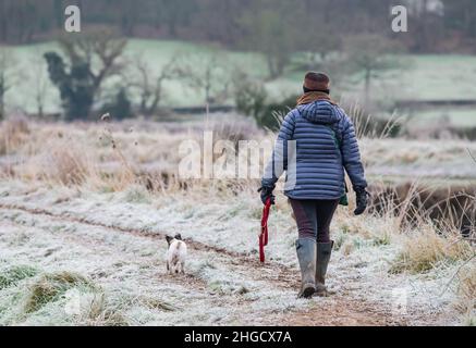 Donna che indossa cappello e cappotto a piedi un cane in una fredda mattina in inverno, con il gelo che copre il terreno in West Sussex, Inghilterra, Regno Unito. Foto Stock