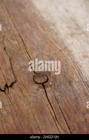 Vecchio rustico sfondo in legno intemperiato in marrone umido con un nodo. Foto Stock
