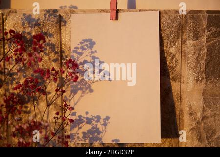 Lettera mockup vuota, cartoncino di cancelleria, biglietto di auguri per il compleanno, anniversario, lista dei desideri. Sfondo estetico. Ombre alla moda di fiori di gypsofila. Foto di alta qualità Foto Stock