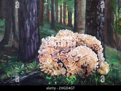 Sparassis crispa talvolta chiamato fungo cavolfiore - delizioso fungo commestibile Foto Stock