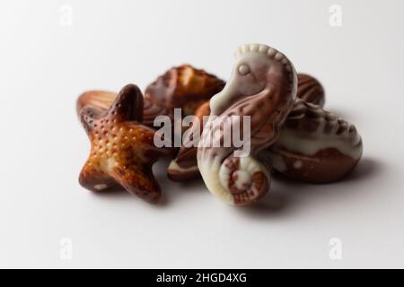 Cioccolatini Seashells isolato su sfondo bianco. Foto Stock