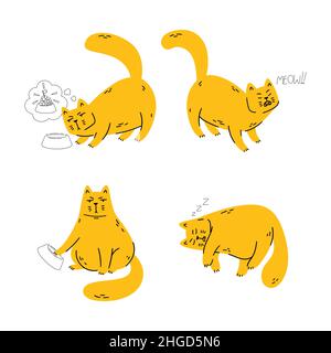 Il gatto insoddisfatto si meraviglia dove il suo cibo è, meows, chiede il suo cibo, dorme. Set di illustrazioni vettoriali per animali isolati su sfondo bianco. Illustrazione Vettoriale