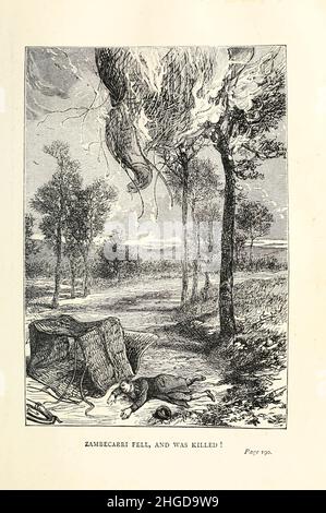 Zambecarri cadde e fu ucciso! Di Émile-Antoine Bayard da ' A Drama in the Air ' (francese: ''un drame dans les airs'') è una breve storia di avventura di Jules Verne. La storia è stata pubblicata per la prima volta nell'agosto 1851 con il titolo 'Scienza per le famiglie. Un viaggio in mongolfiera ('la science en famille. Un voyage en ballon') nel Musée des Familles. Nel 1874, con sei illustrazioni, è stato incluso in Doctor Ox, l'unica raccolta di racconti di Jules Verne pubblicati durante la vita di Verne. Una traduzione inglese di Anne T. Wilbur, pubblicata nel maggio 1852 nella rivista di letteratura dell'Unione di Sartain, Foto Stock