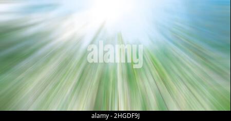 Sfondo sfocato astratto. Primavera ed estate sfondo con la natura contro il cielo. Foto Stock