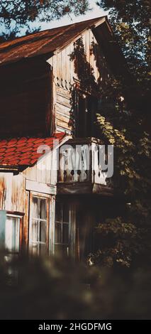 Una vista prospettica di una vecchia casa in legno angolo all'ombra di un albero rowan. Vista verticale di un cortile rustico in cabina in una giornata di sole. Un cotto di legno Foto Stock