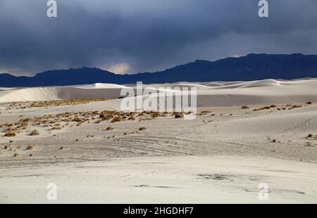 Vista sulle dune bianche - White Sands National Park, New Mexico Foto Stock