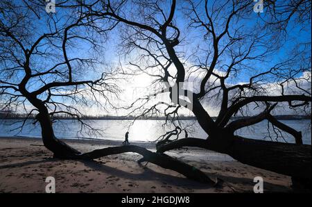 Amburgo, Germania. 20th Jan 2022. Due persone camminano lungo l'Elba tra Övelgönne e Teufelsbrück. Credit: Christian Charisius/dpa/Alamy Live News Foto Stock