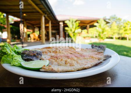 Cibo colombiano delizioso e spettacolare Foto Stock