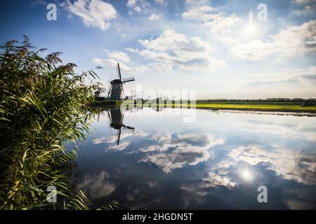 Foto orizzontale dei famosi mulini a vento olandesi a Kinderdijk, sito patrimonio dell'umanità dell'UNESCO. Nella foto ci sono cinque dei 19 mulini a Kinderdijk, nei Paesi Bassi, costruiti nel 1738 e nel 1740. Foto di alta qualità Foto Stock