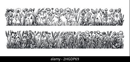 Set floreale di fiori e erbe di prato, decorazioni floreali. Fiori selvatici, illustrazione vettoriale di schizzo di erba selvaggia Illustrazione Vettoriale