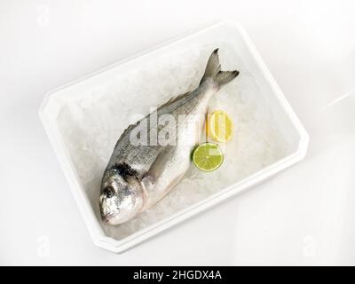 Scatola per il trasporto con ghiaccio e pesce isolato su sfondo bianco - Seabream con testa dorata grigia Foto Stock