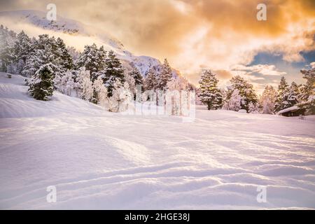 Bella neve paesaggio sfondo durante l'alba con nebbia in lontananza, foresta con alberi, onde di neve in prima linea, stryn, norvegia Foto Stock