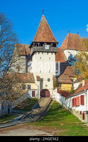 Chiesa evangelica sassone medievale fortificata nel villaggio di Bazna in Transilvania, Romania, contea di Sibiu Foto Stock