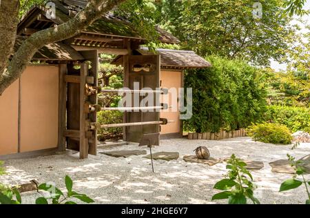 Area dell'isola Giapponese al Chicago Botanic Garden, Illinois, USA Foto Stock