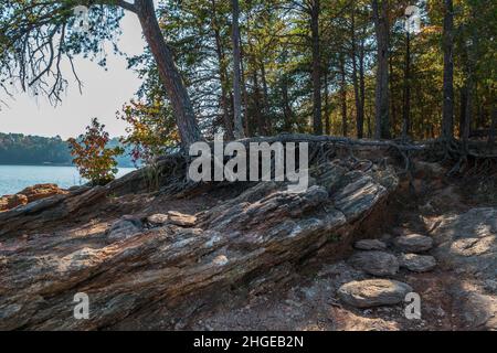 Erosione sulla costa causata dalla siccità al Lago Lanier in Georgia esponendo le rocce e massi con gli alberi appesi sul bordo in una giornata di sole Foto Stock