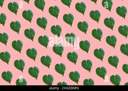 Modello di foglie a forma di cuore verde su sfondo rosa Foto Stock