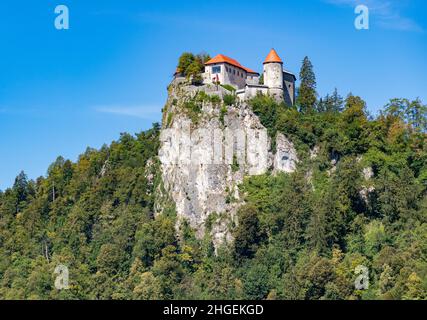 Una foto del Castello di Bled e della foresta circostante. Foto Stock