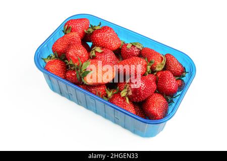 Fragole fresche in contenitore di plastica isolato su sfondo bianco Foto Stock