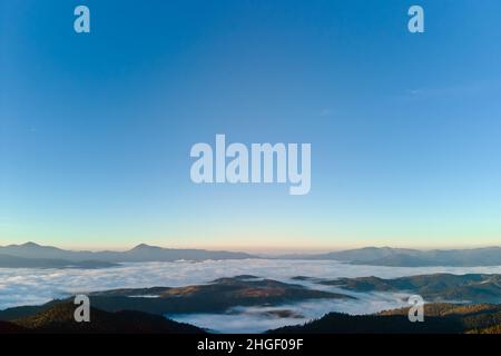 Vista aerea di uno scenario incredibile con nebbia scura cima di montagna coperta da alberi di pino foresta all'alba d'autunno. Bel bosco selvaggio con una rhra brillante Foto Stock