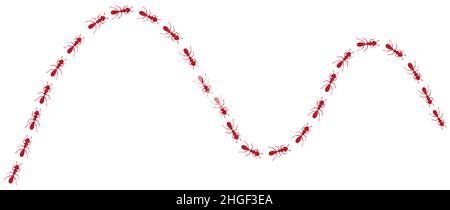 Curva di percorso formiche lavoratore. Percorso formico rosso isolato su sfondo bianco. Illustrazione vettoriale Illustrazione Vettoriale