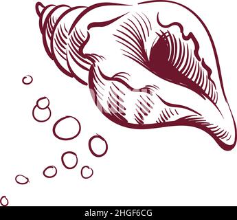 Schizzo di Seashell. Linea di inchiostro stile molluschi conch. Simbolo dei molluschi Illustrazione Vettoriale