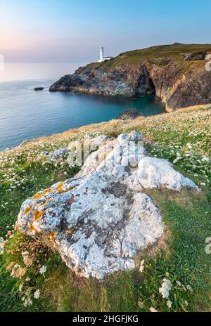 Lo storico faro, un popolare punto turistico, imbiancato bianco e luogo d'interesse estivo baciato dal sole sullo sfondo, scogliera coperta di fiori selvatici, a metà Foto Stock