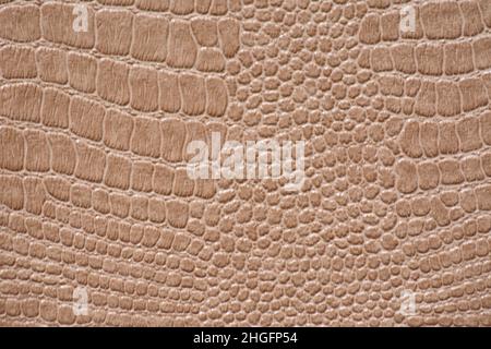 Frammento di pelle naturale di un rettile colorato artificialmente in primo piano di colore marrone chiaro. Sfondo, motivo, trama. Foto Stock