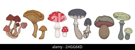 Set vettoriale di disegni colorati di vari funghi velenosi con cova. Amanita e funghi falsi. Clipart naturale per logo ed etichette. Illustrazione Vettoriale