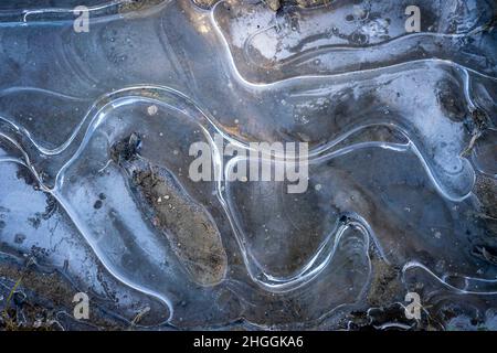 Modelli di ghiaccio su una pozzanghera congelata Foto Stock