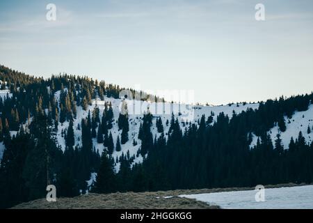 Montagne innevate e foreste di conifere su uno sfondo di cime Foto Stock
