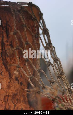 Vecchia rete di corda ragged appesa su un ceppo dell'albero in una gabbia dell'animale. Foto Stock