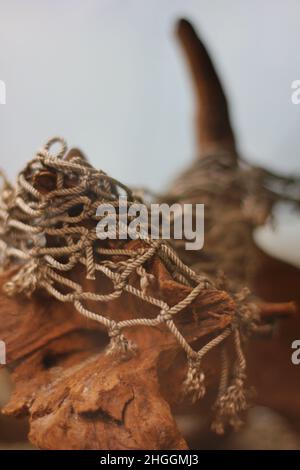 Vecchia rete di corda ragged appesa su un ceppo dell'albero in una gabbia dell'animale. Foto Stock